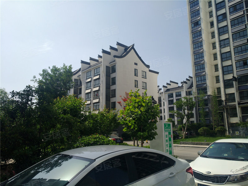 肥城龍山一品最新房?jī)r(jià)，時(shí)代印記與市場(chǎng)脈動(dòng)的交織