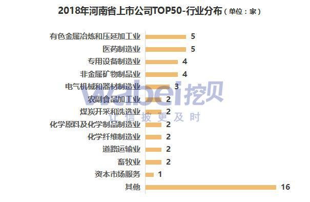 河南上市公司一覽，企業(yè)上市全景解析