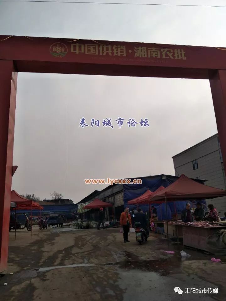 湘南大市場最新動態(tài)，一場溫馨的市場奇遇探索