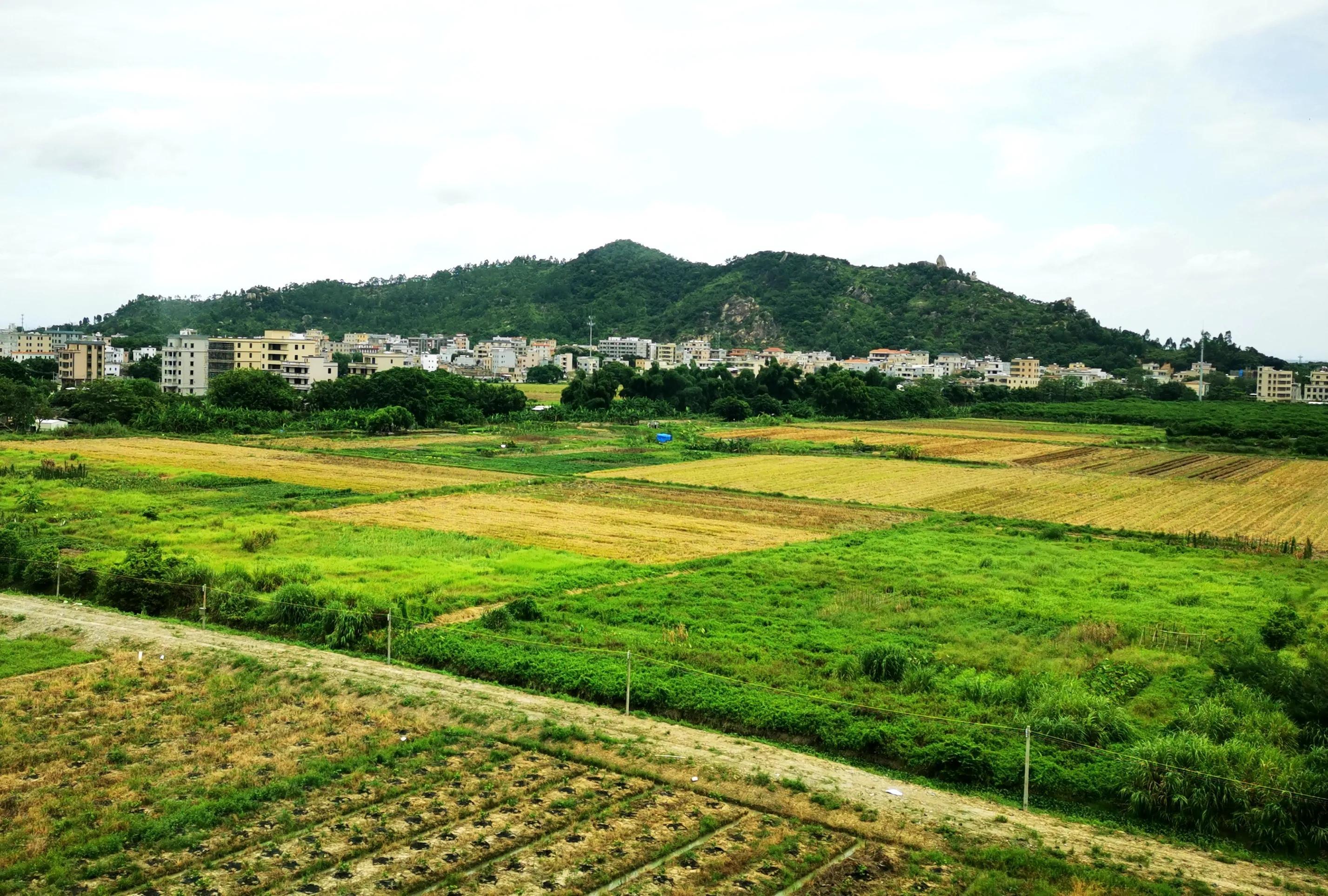 廈門至深圳高鐵提速最新動態(tài),廈門至深圳高鐵提速最新動態(tài)，速度與情感的雙重旅程