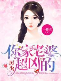 寶貝老婆章節(jié)更新深度探討，價值與吸引力的揭秘