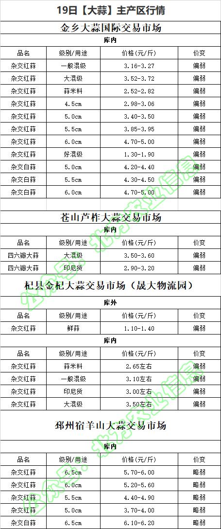 全國大蒜價格最新行情走勢詳解，如何把握動態(tài)與預(yù)測未來趨勢
