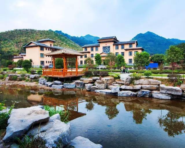 廣西蒙山高速最新動(dòng)態(tài)，駛向自然美景，探尋內(nèi)心平靜的旅程