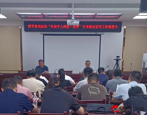 河南西平新聞最新動態(tài)，小巷深處的獨特風(fēng)味