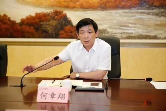 鎮(zhèn)江雷志強的最新任職，多維度視角下的深入探討