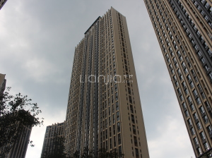 霸州天鵝灣最新動態(tài)，自然美景探索之旅，尋找內(nèi)心的寧靜與喜悅