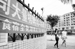 河源東源仙塘最新招聘，時(shí)代背景下的新機(jī)遇啟航